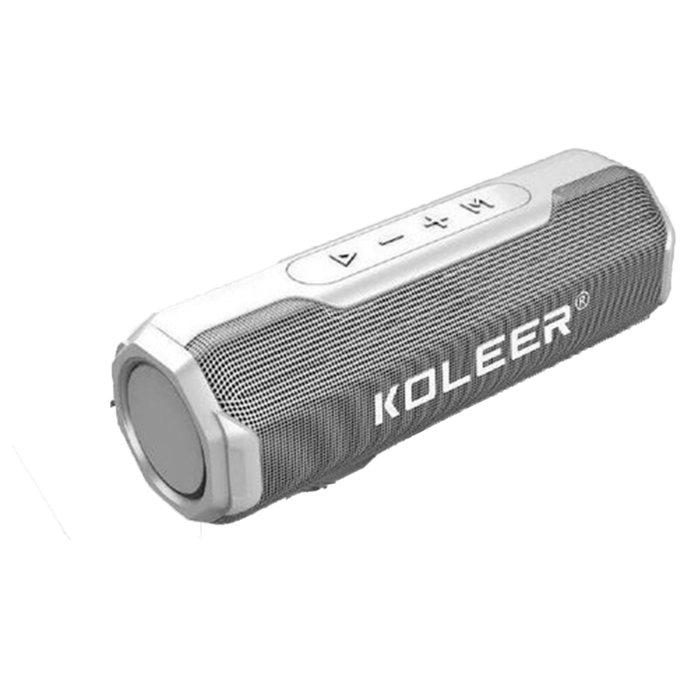 SPEAKER KOLEER S218